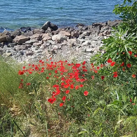 Private Studio, South Beaсh, Nessebar, Larisa 아파트 네세부르