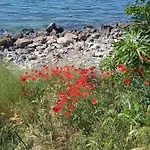 Private Studio, South Beaсh, Nessebar, Larisa Апартамент Несебър