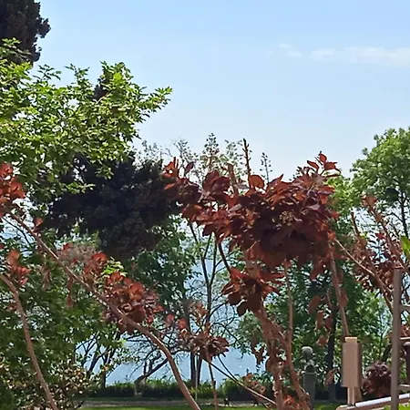 Private Studio, South Beaсh, Nessebar, Larisa