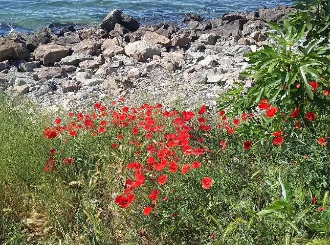 Private Studio, South Beaсh, Nessebar, Larisa Lägenhet Nesebar